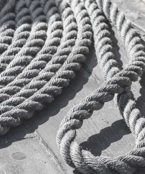 Coil of rope could be mistaken for snake.